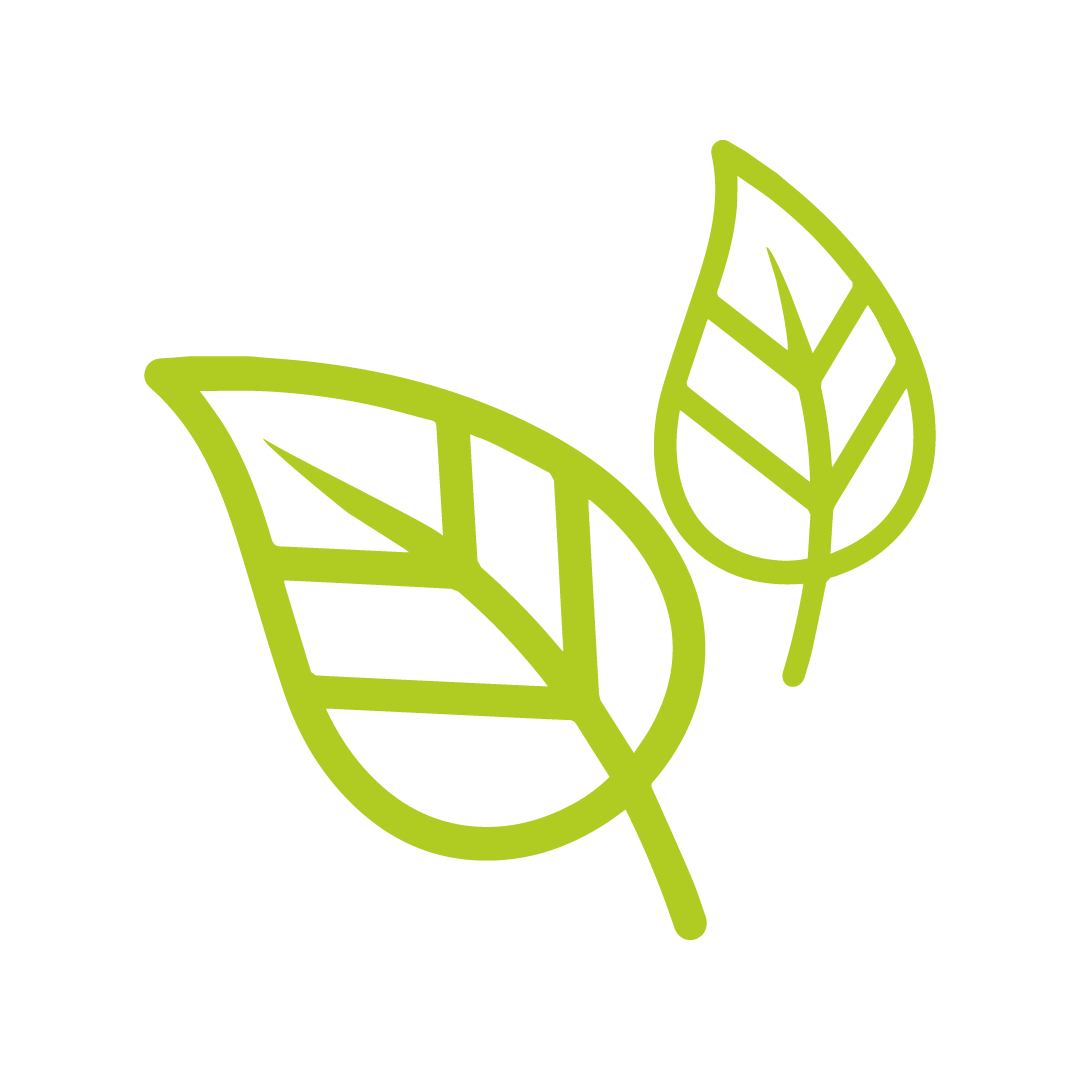 Ico_Listy